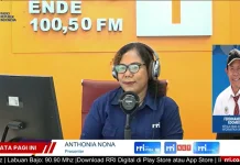 Diskominfo Sikka Dorong Literasi Digital untuk Memperkuat Kerukunan