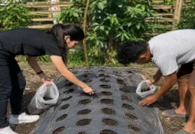 Bangun Sistem Pertanian Terpadu, OMK Pax Christi Mbaumuku Usung Circular Farming