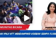 IPKJI NTT Temukan Trauma dan Kecemasan Korban Gempa Flores