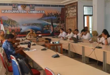 Pemutakhiran Data Lembata Diperkuat lewat Musyawarah Desa
