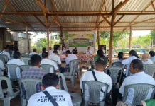 Distan KP Flotim Minta Petani Perbaiki RDKK untuk Akses Pupuk Subsidi