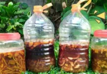 Eco Enzim, Solusi Olah Limbah Organik di Nangapanda