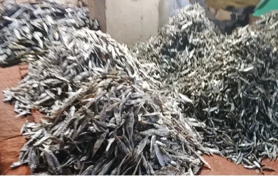 Harga ikan Kering di Pasar Inpres Ruteng Naik