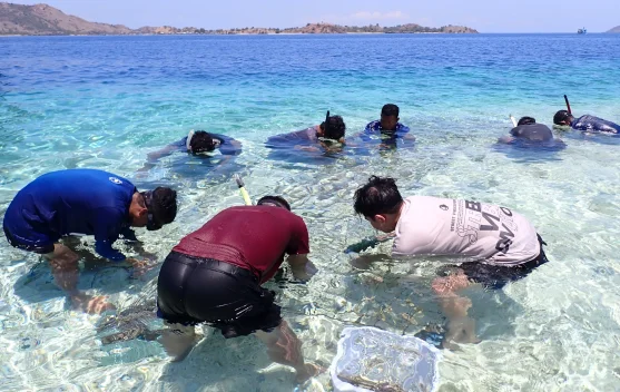 Nelayan Labuan Bajo Bersatu Restorasi Terumbu Karang Rusak