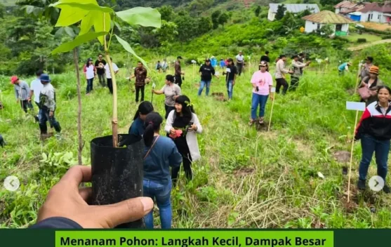 Gerakan Sunyi dari Manggarai, saat Anak Muda Merawat Bumi dengan Cara Mereka