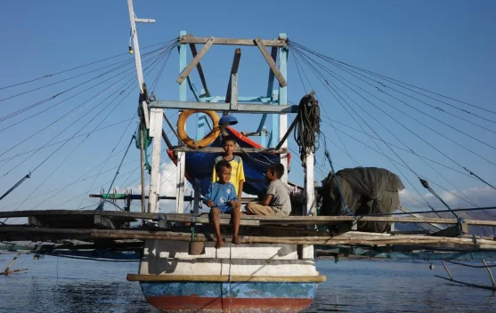 Gaji Ke-13 ASN di Ende, Nagekeo, dan Sikka Tersalur Rp17,2 Miliar