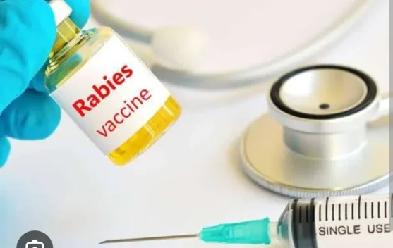 Dinkes Nagekeo: Puskesmas Boawae Masih Miliki 100 Dosis Vaksin Antirabies