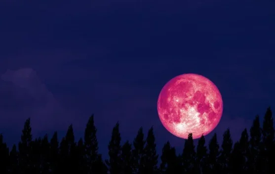 Strawberry Moon Hiasi Langit Indonesia 29-30 Juni, Ini Waktu Terbaik Mengamatinya