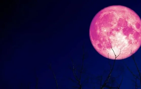 Warga Labuan Bajo Bisa Saksikan Strawberry Moon, Ini Lokasi dan Waktu Terbaik Menga