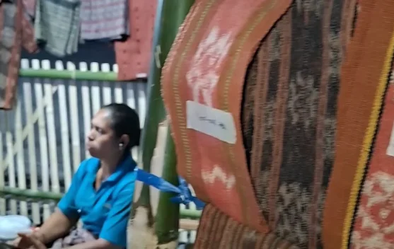 Penenun Solor Kenalkan Tenun Pewarna Alami Kaktus