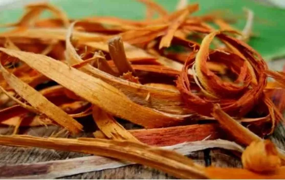 Manfaat Kayu Secang, Si Merah Alami yang Menyehatkan Tubuh