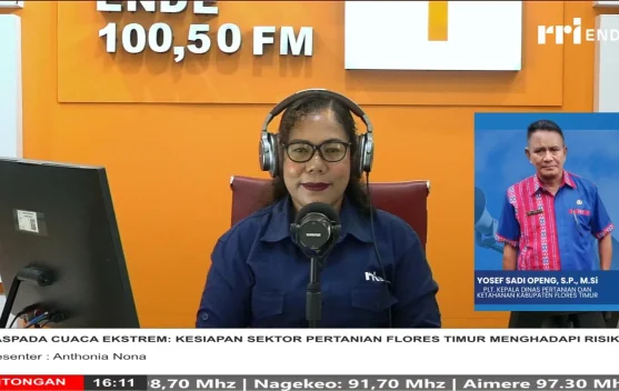 Distan Flores Timur Perkuat Antisipasi Dampak Cuaca terhadap Pertanian