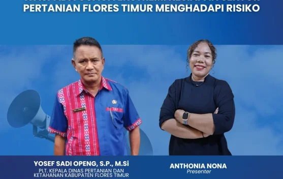 Distan Flores Timur Ajak Petani Adaptif Hadapi Perubahan Cuaca Ekstrem