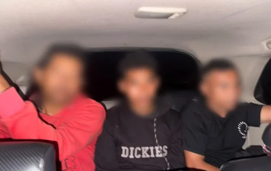 Viral Video Pembakaran Burung Hantu, Polisi Amankan Tiga Pria di Manggarai Barat
