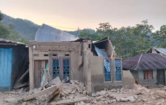 Sebanyak 186 Gempa Susulan Terjadi Flores, Magnitudo Terbesar 6,2