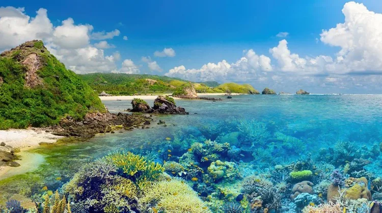 Unveiling Nusantara Hidden Gems: Adventure from Lombok to Sumbawa