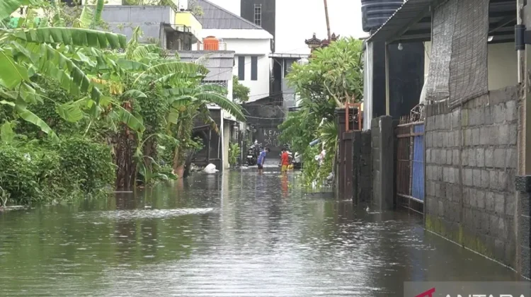 Bali Floods Trigger 76 Disasters and Mass Evacuations