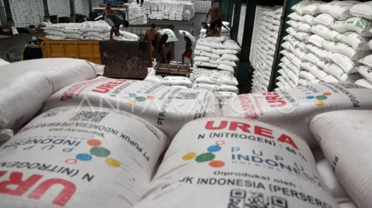 Govt Strengthens Fertilizer Access for Fish Farmers