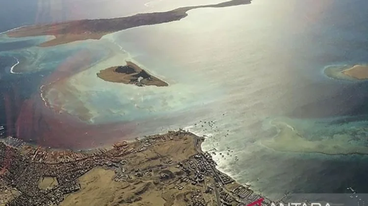 Strait of Hormuz Tensions Raise Global Oil Concerns, Jakarta Watches Closely
