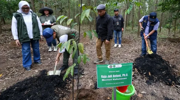 Wildlife Returns to Rehabilitated Forests in Indonesia’s New Capital