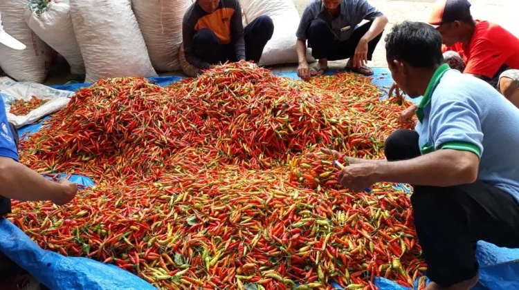 Agriculture Minister Highlights New Peak in Farmer's Exchange Rate in 2026
