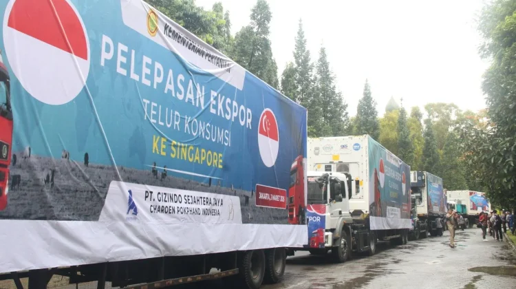 Indonesia Exports Poultry Products Worth IDR 18.2 Billion