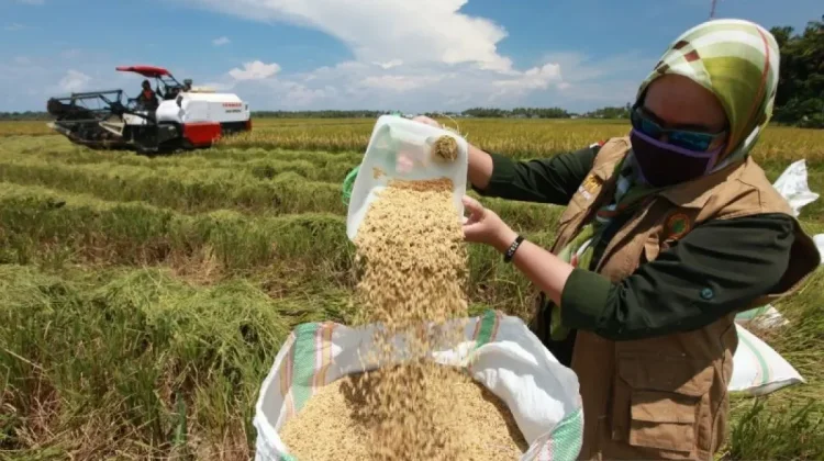 Indonesia Confident in Food and Drug Security Despite Middle East Conflict