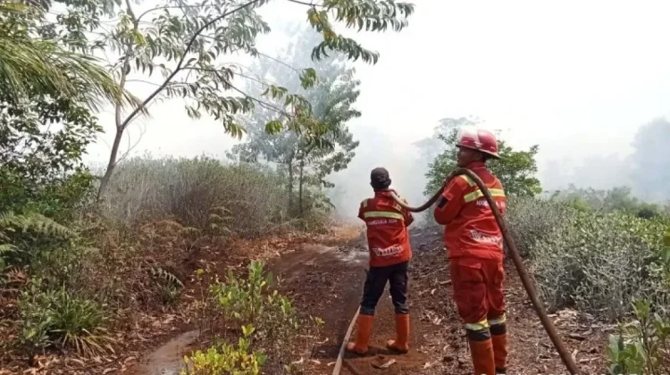 Five Riau Regions Declare Emergency as Wildfires Escalate