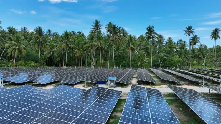 Cooperatives Positioned as Key Drivers in Indonesia’s Solar Energy Transition
