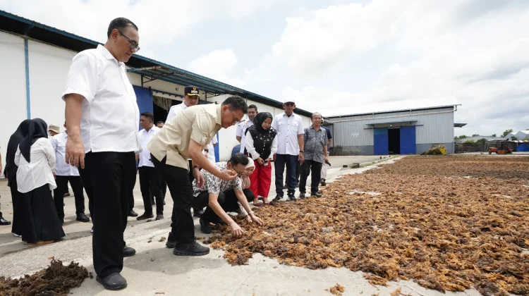 Indonesia Optimizes Warehouse Receipt System to Boost Commodity Exports