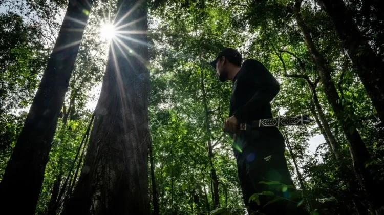 Indonesia Champions Tropical Forest Diplomacy at Nairobi FCLP Summit