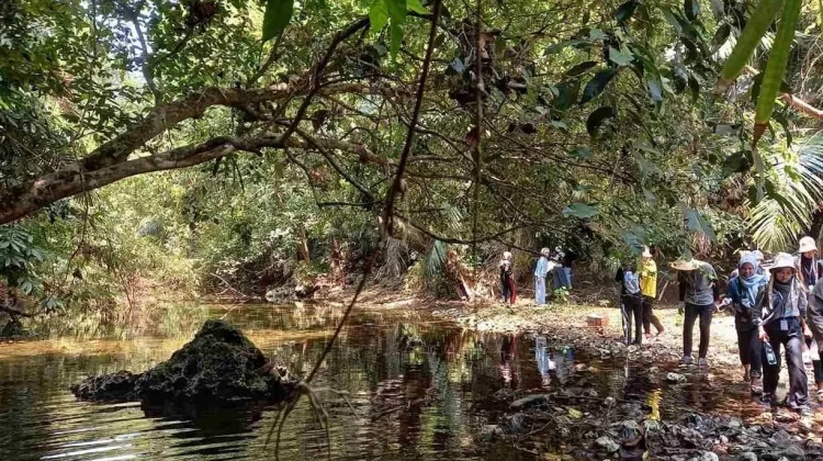 Indonesia Highlights Forest Diplomacy at 2026 Global Climate Forum