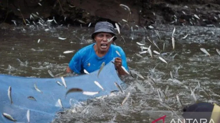 Sasi, Local Tradition Strengthens Fishery Welfare in Ambon