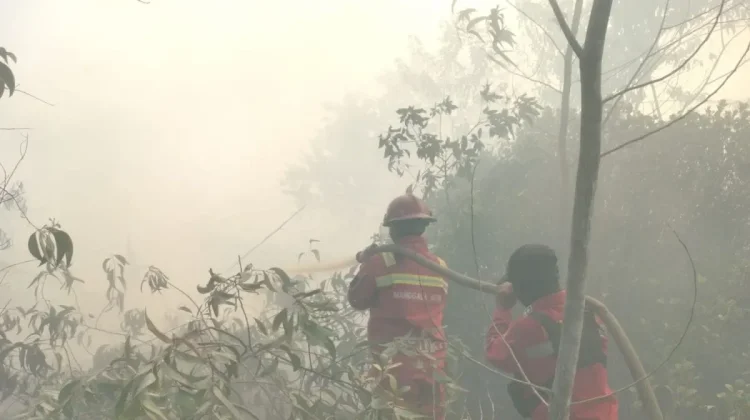 Ground Crews Battle Four Riau Wildfires Without Helis