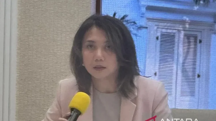 Indonesia Calls for ASEAN Solidarity in Responding to Middle East Conflict