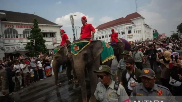 Yogyakarta Palace Confirms No Elephants for Grebeg Syawal 2026