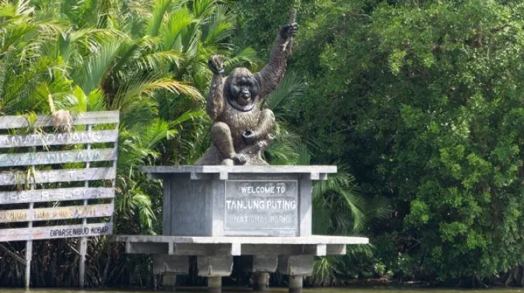 Governor Targets Global Standards for Tanjung Puting’s Iconic Tourism