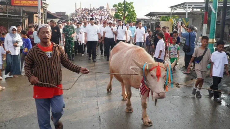 Jepara's Lomban Syawalan Returns with Albino Buffalo Parade to Boost Tourism