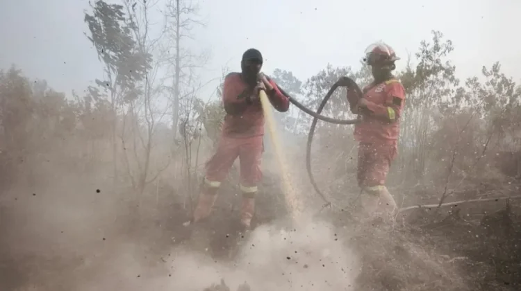 Riau Becomes Sumatra’s Main Hotspot With 201 Points