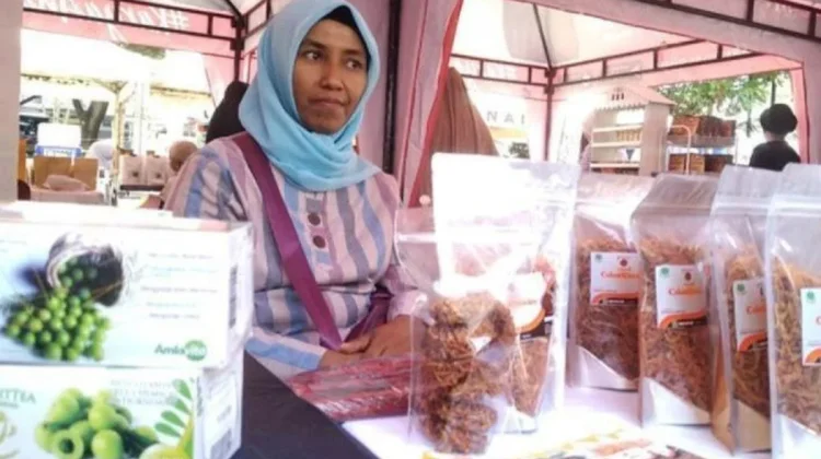 Lawmaker Sees Product Literacy as Key to Expanding Indonesian MSME Market Reach