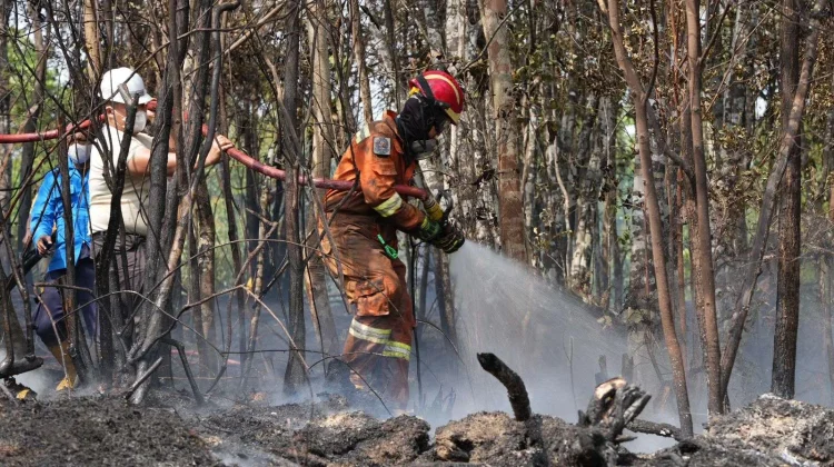 Cross-Agency Preparedness Key to Prevent Wildfire Risks: Lawmaker