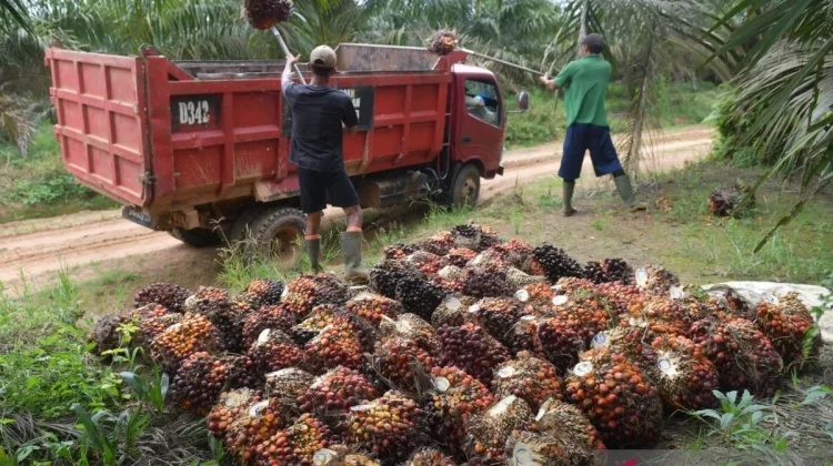 Indonesia Adjusts Export Prices for Strategic Commodities in April 2026