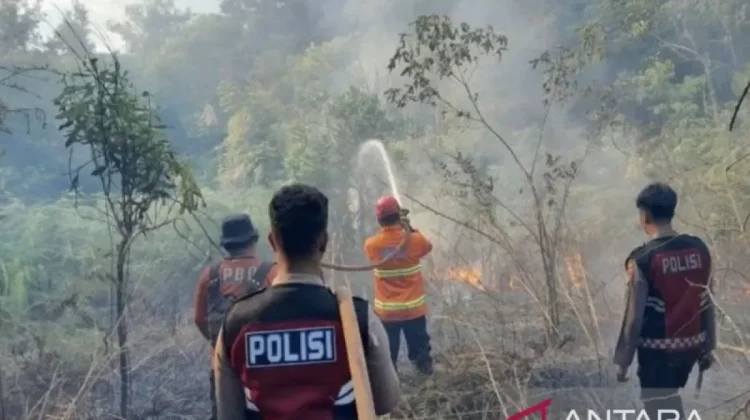 East Kalimantan On Alert After 77 Hotspots Detected