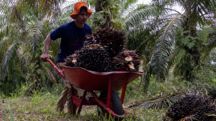 Indonesia's Trade Balance in February 2026 Remains Positive Amidst Global Tension