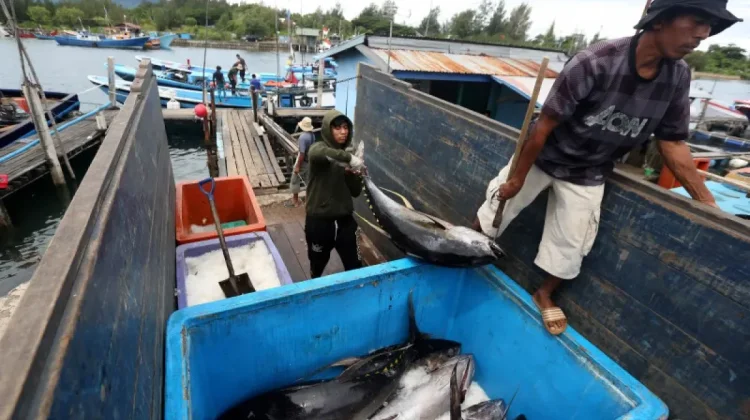 Fishermen’s Village Program Targets 2.15 Million Tons of Production