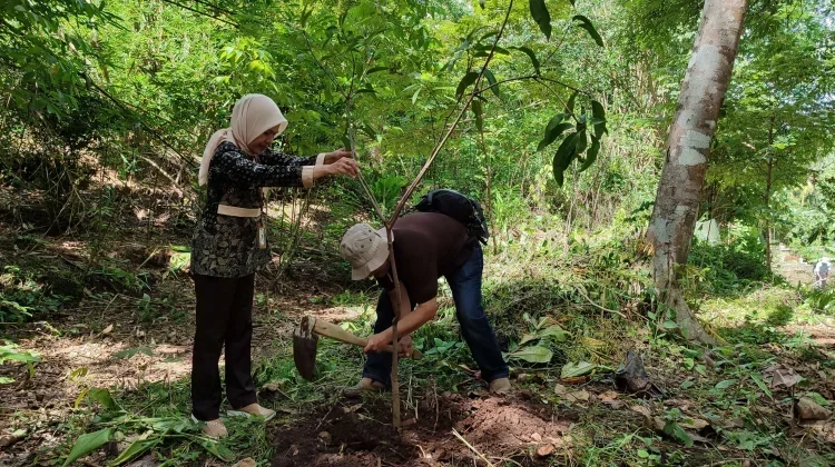 Lawmaker Demands Firm Action on Illegal Deforestation from Forestry Ministry