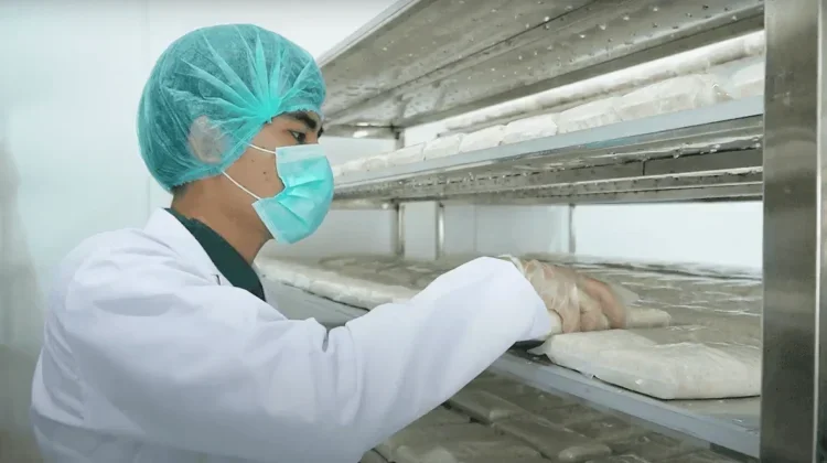 Indonesian Tempe Breaks into Chilean Market Through IC-CEPA