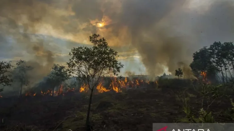 West Kalimantan Activates Fire Command Centers Amid El Niño