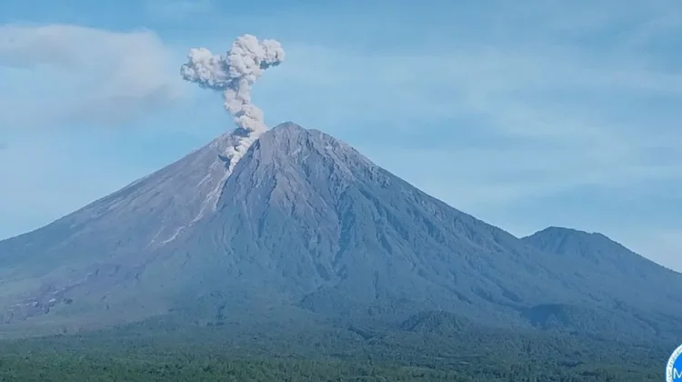Mount Semeru Erupts Seven Times With High Alert