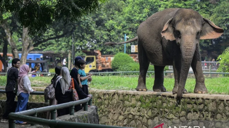 Ragunan Exceeds Target With Over 119,000 Easter Visitor